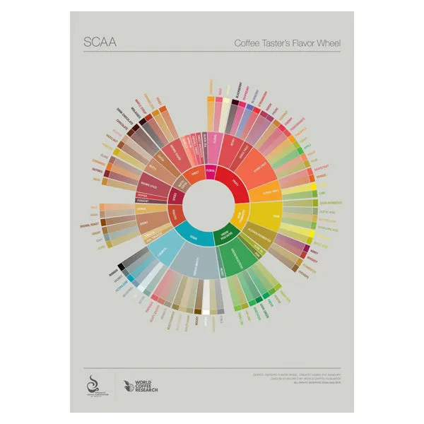 Coffee Taster's Flavour Wheel Chart - SCAA