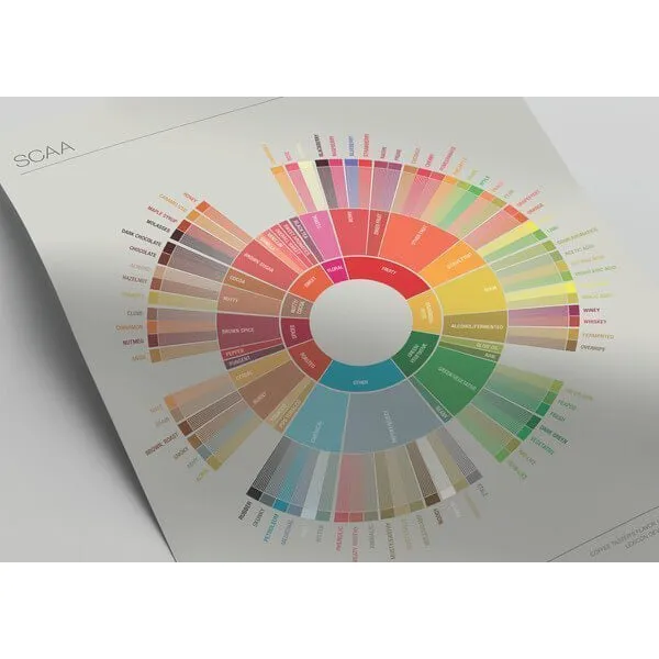 Coffee Taster's Flavour Wheel Chart - SCAA