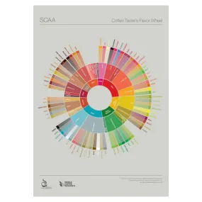 Coffee Taster's Flavour Wheel Chart - SCAA