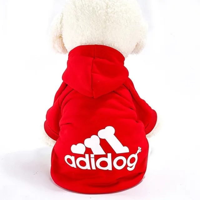 Cool Dog Hoodie