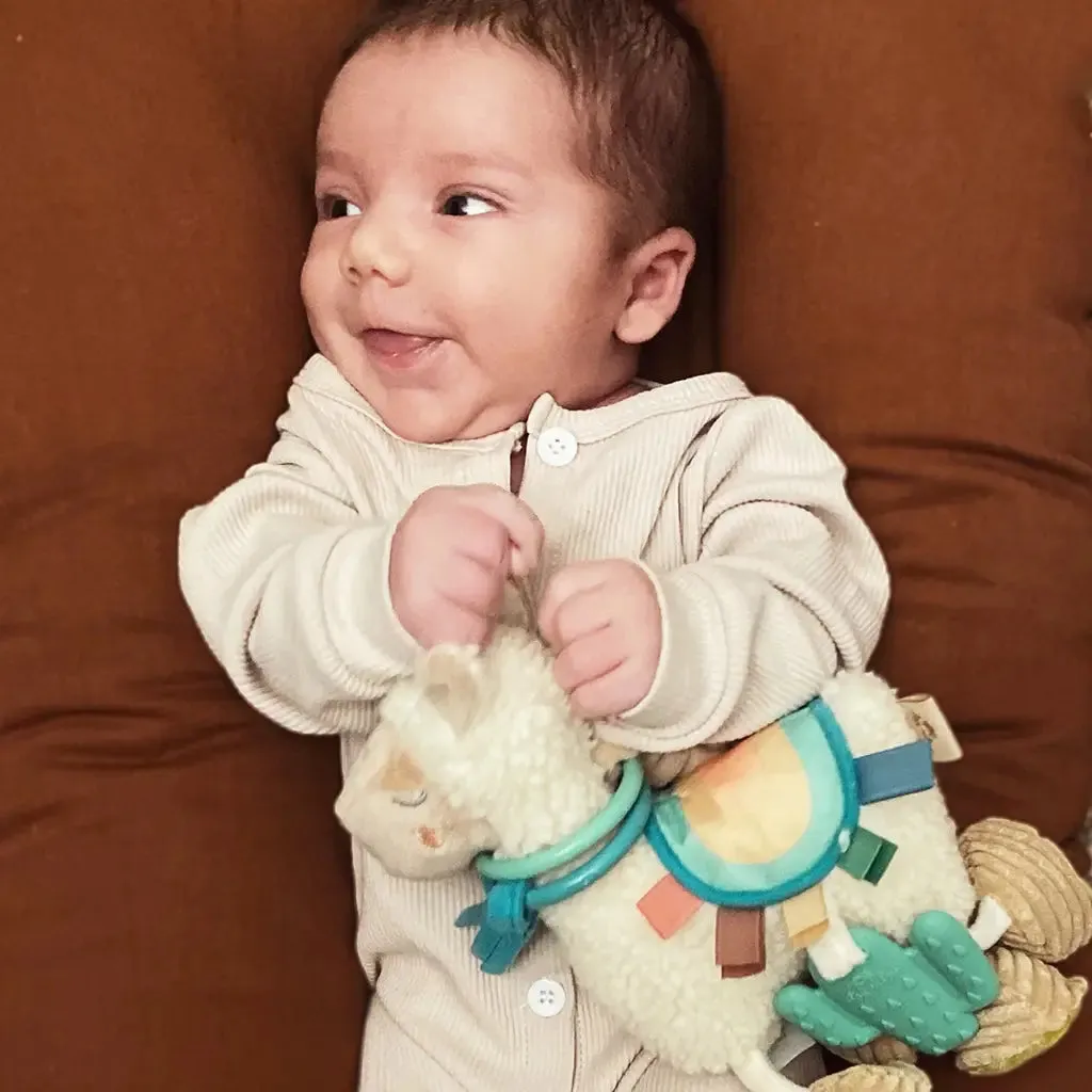 Llama Teether Toy