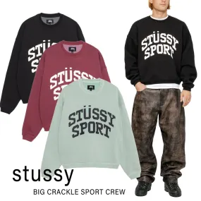 STUSSY  |Crew Neck Pullovers Unisex Street Style Long Sleeves Plain